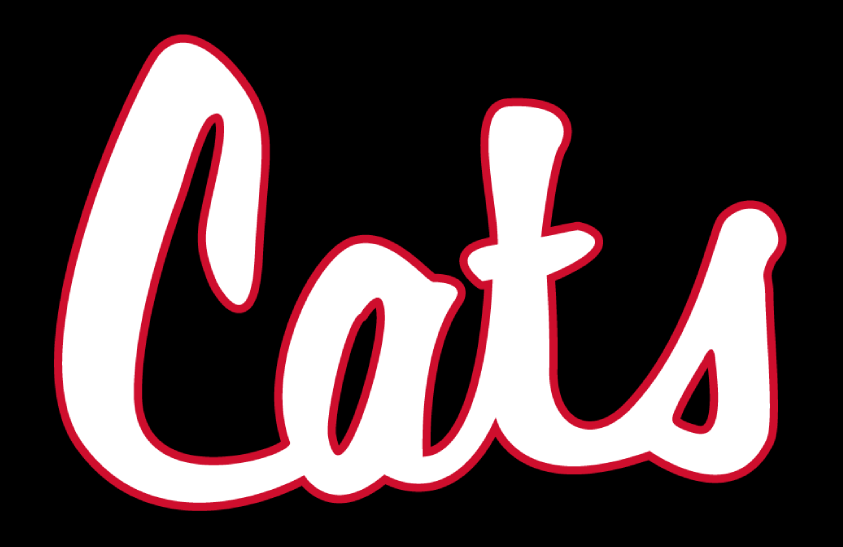 Davidson Wildcats 1996-2005 Helmet Logo diy iron on heat transfer